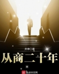 从商二十年