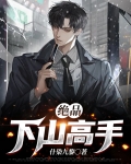 绝品下山高手