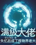 小说:满级大佬拿了病弱剧本