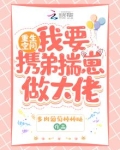 重生空间:我要携弟揣崽做大佬