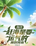 海洋：赶海是要运气的，刚好我有