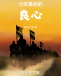 北宋最后的良心