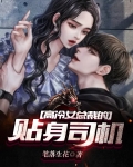 高冷女总裁的贴身司机