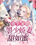 重生宠婚:墨少娇妻甜如蜜