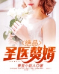 绝品圣医赘婿