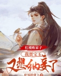 红楼败家子：我贾宝玉，又想纳妾了