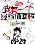 御兽:我有一个经验值面板