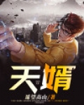 天婿