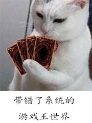 带错了系统的游戏王世界