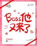 boss他又来了