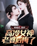 离婚后，我的高冷女神老婆后悔了