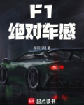 F1:绝对车感