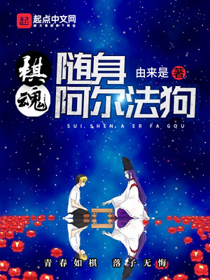 棋魂:随身阿尔法狗