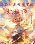 海贼:草帽团里的机械师