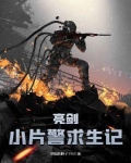 亮剑:小片警求生记