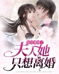 陆总别演了，夫人她只想离婚