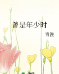 曾是年少时