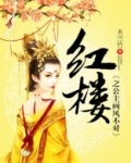 红楼之公主画风不对
