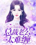 闪婚强爱：总裁老公太难缠