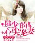 独家蜜婚:陆少的心尖宠妻(改编短剧已上线)