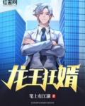 龙王狂婿