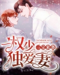 三宝来袭：权少独爱妻