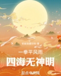 一拳平风雨,四海无神明