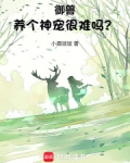 御兽：养个神宠很难吗？