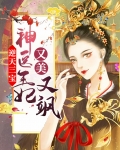 逆天三宝：神医王妃又美又飒