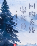 崇祯的网购系统