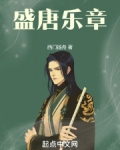 盛唐乐章