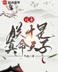 元末:朕才是真命天子