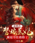 新婚夜,替嫁医妃藏起孕肚跑路了
