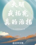 大明:我杨宪,真的治扬!